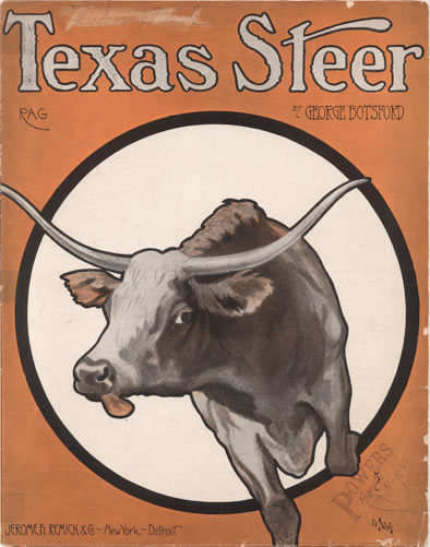 Texas Steer